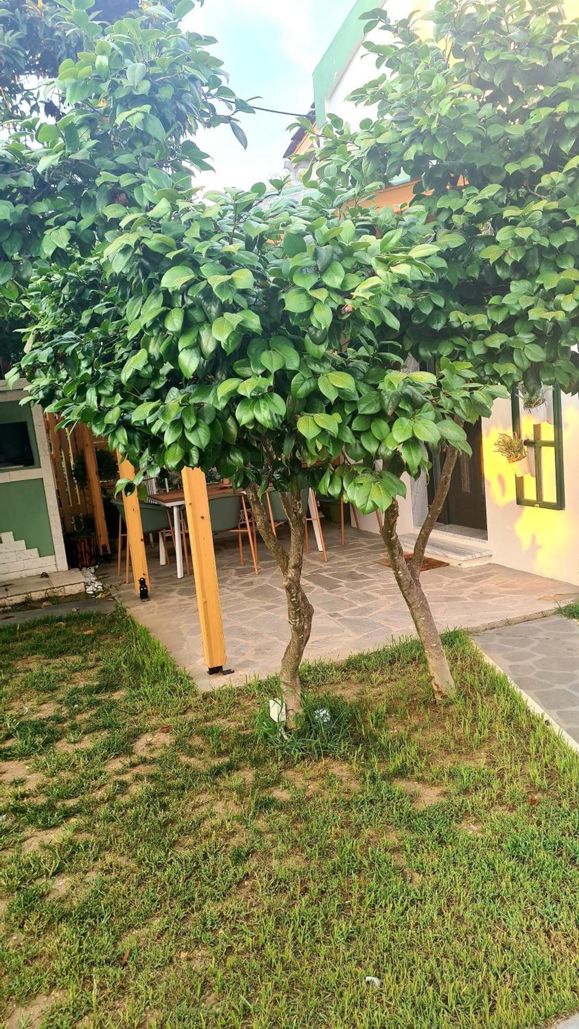 Lamprini'S Deluxe Studios Лименас Екстериор снимка